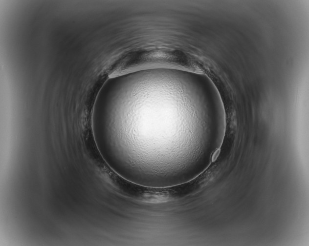 X0000087570559200704271249