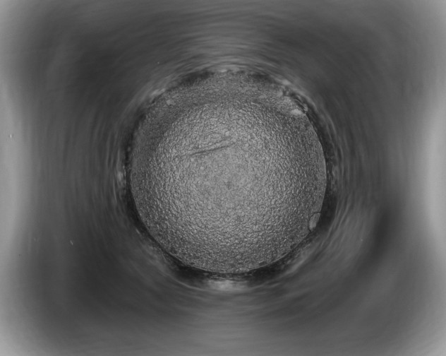 X0000087570561200704271249