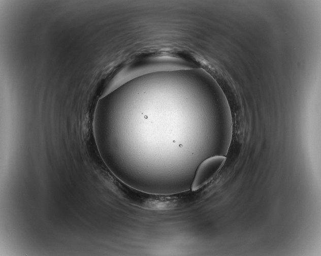 X0000087570563200704271249