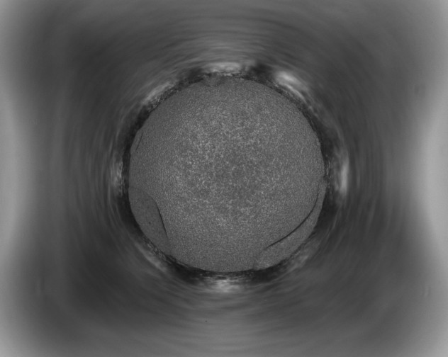 X0000087570564200704271249