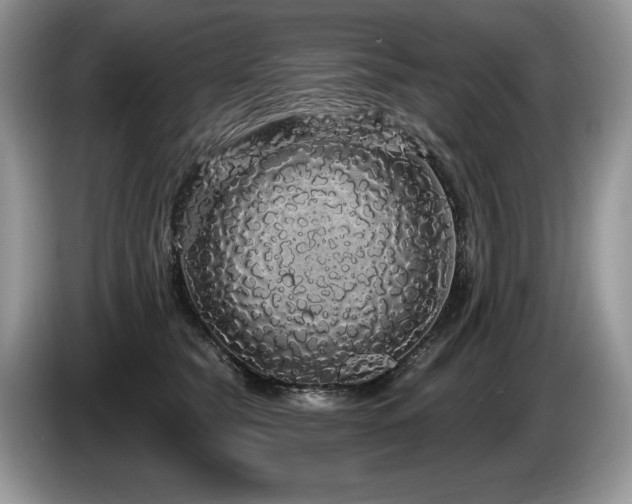 X0000087570565200704271249