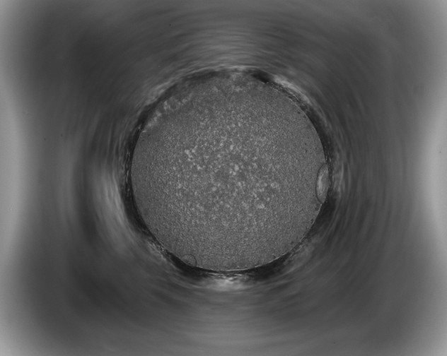X0000087570569200704271249