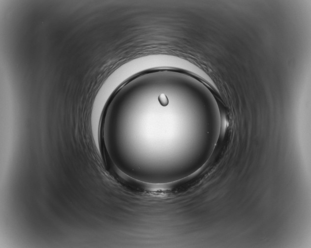 X0000087570570200704271249
