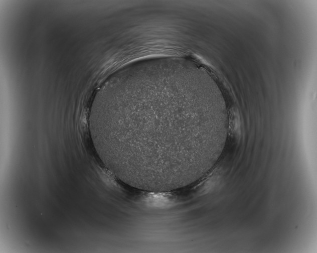 X0000087570573200704271249