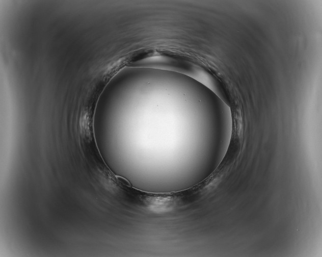 X0000087570575200704271249