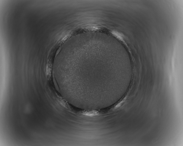 X0000087570576200704271249