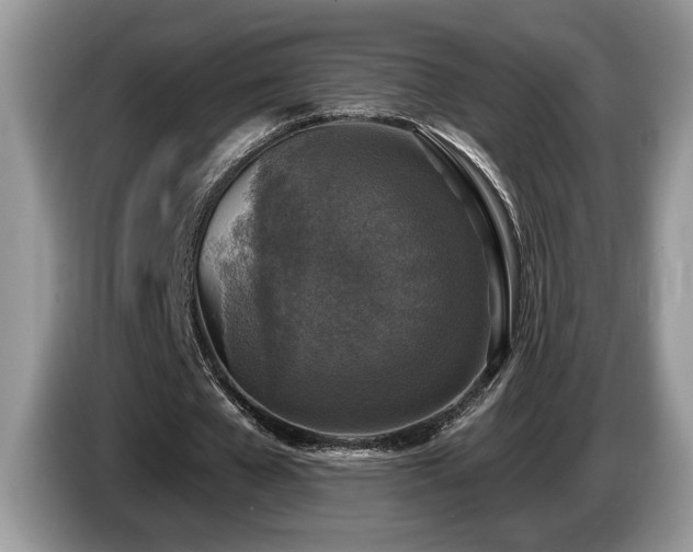 X0000087570577200704271249