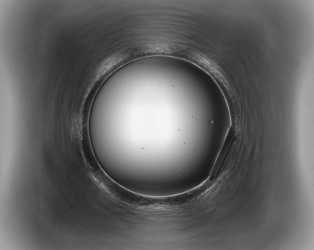 X0000087570578200704271249