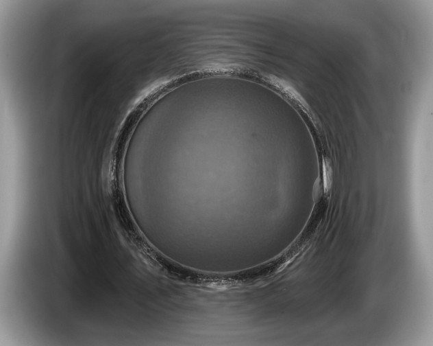 X0000087570579200704271249