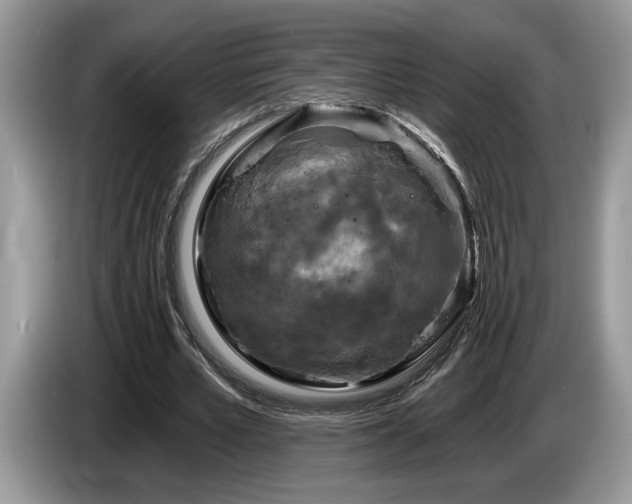 X0000087570581200704271249