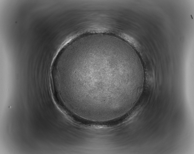 X0000087570582200704271249