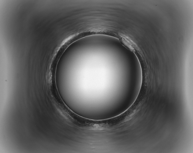 X0000087570584200704271249
