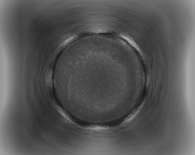 X0000087570585200704271249