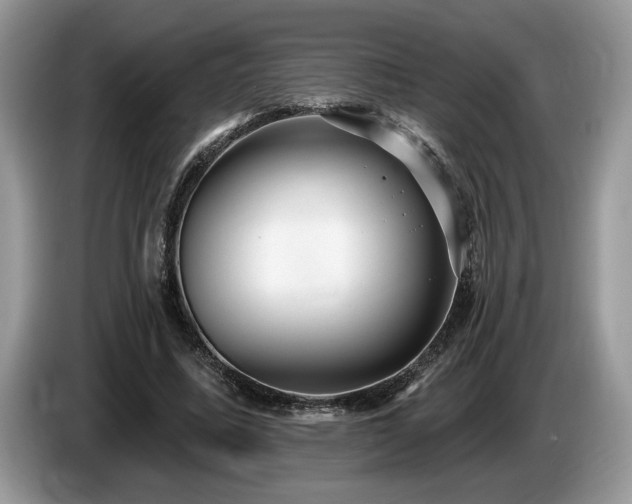 X0000087570587200704271249