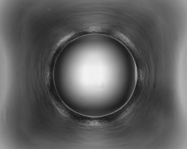 X0000087570588200704271248