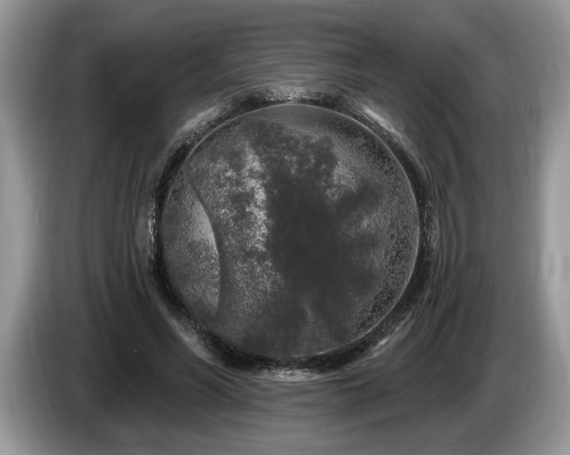 X0000087570590200704271248