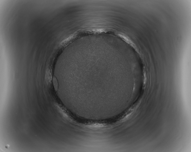 X0000087570593200704271248