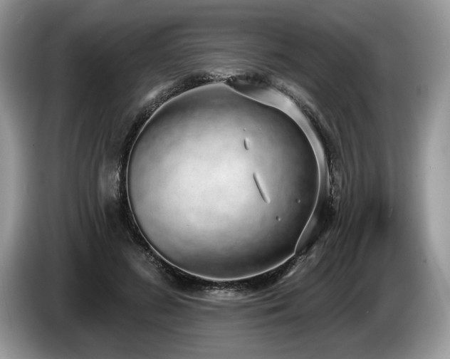 X0000087570596200704271248
