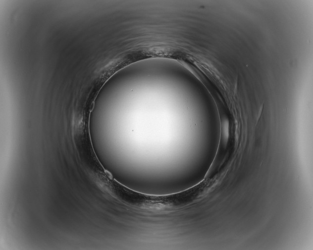 X0000087570597200704271248