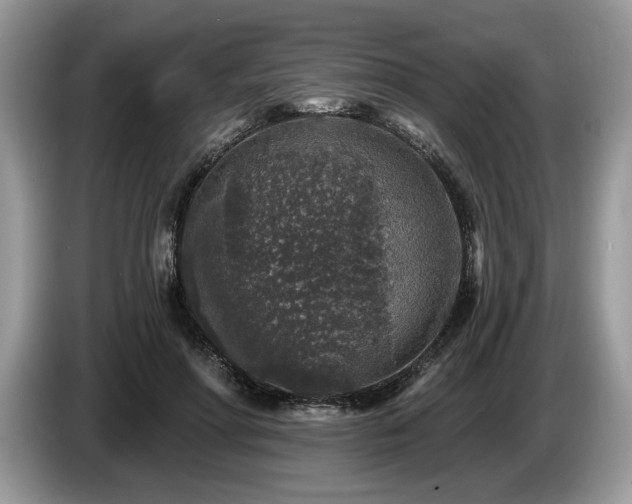 X0000087570598200704271248