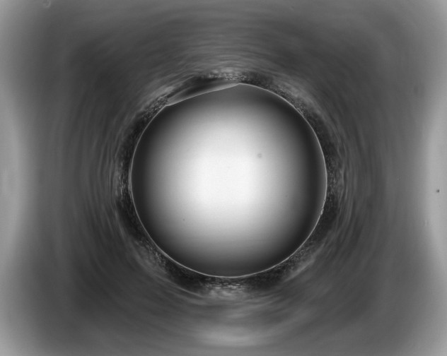 X0000087570599200704271248