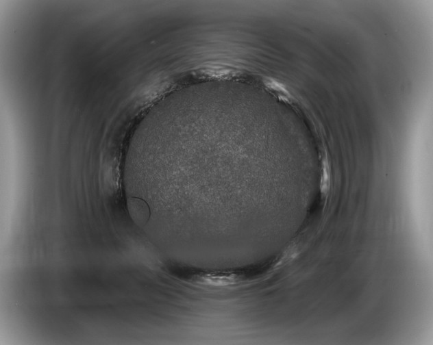X0000087570606200704271248