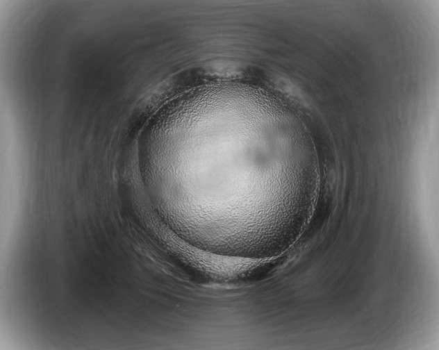 X0000087570609200704271248