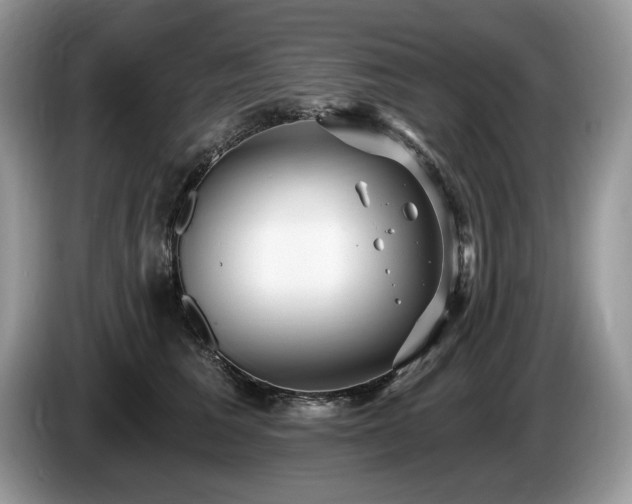 X0000087570613200704271248