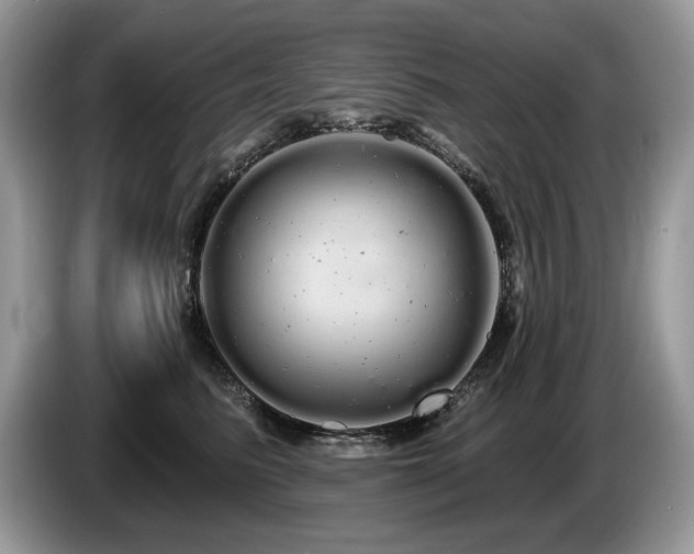 X0000087570615200704271248