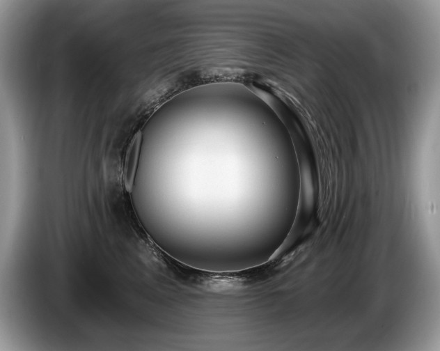 X0000087570617200704271248