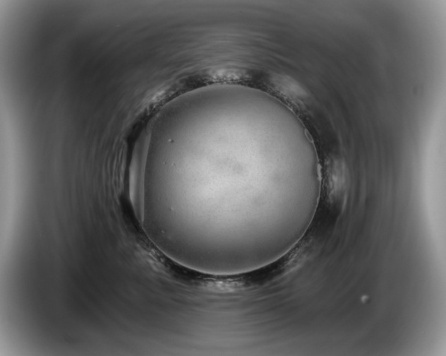 X0000087570619200704271248