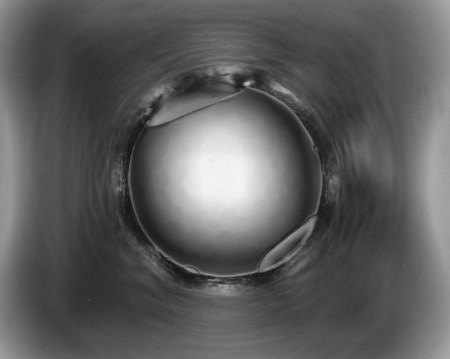 X0000087570620200704271248