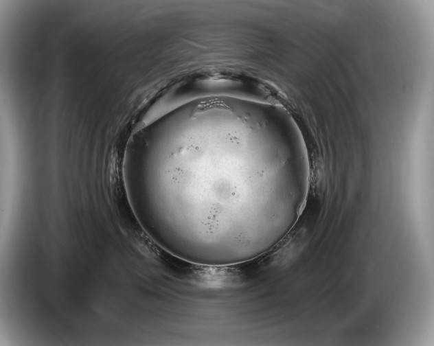 X0000087570623200704271248