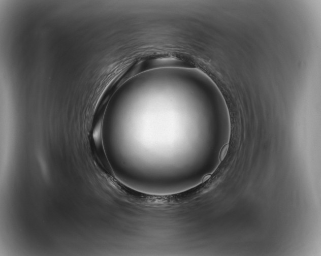 X0000087570624200704271248