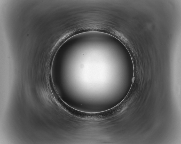 X0000087570625200704271248