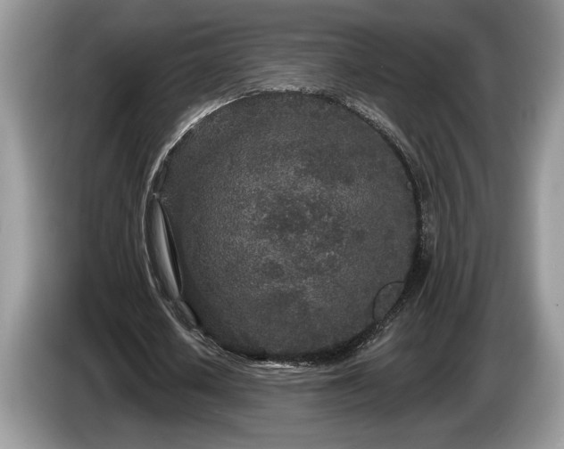 X0000087570626200704271248