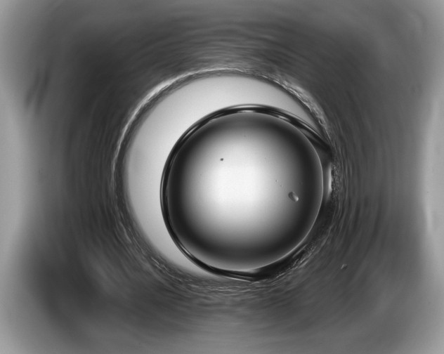 X0000087570628200704271248
