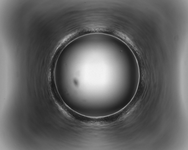 X0000087570629200704271248