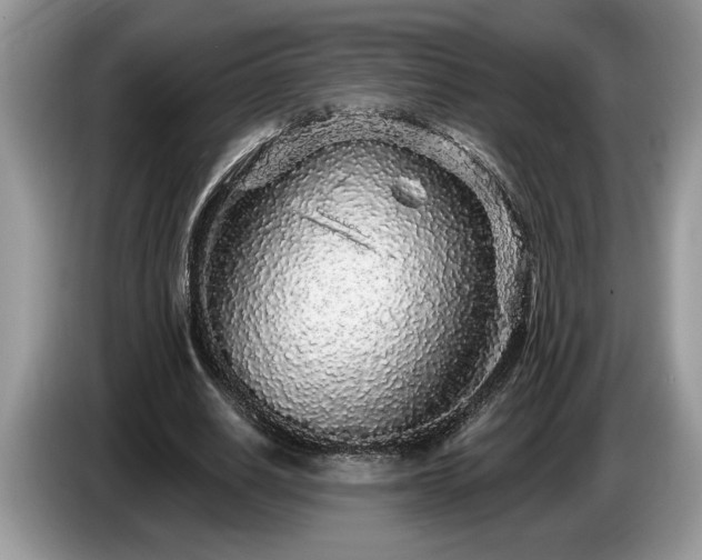 X0000087570630200704271248