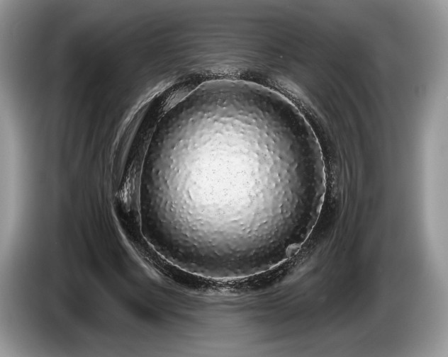 X0000087570634200704271248