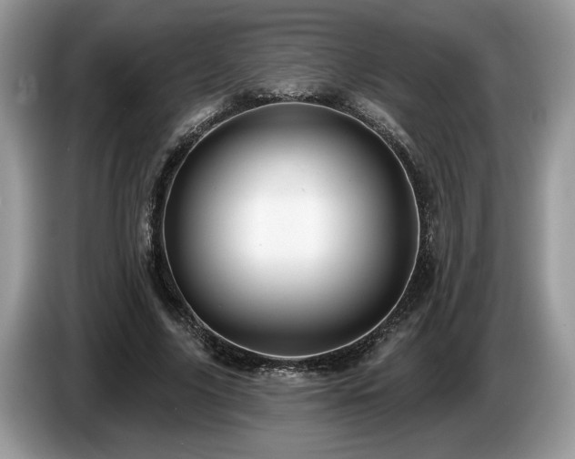 X0000087570635200704271248