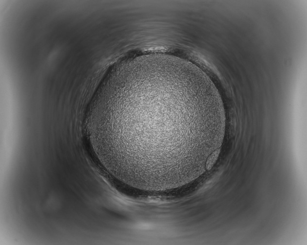 X0000087570641200704271248