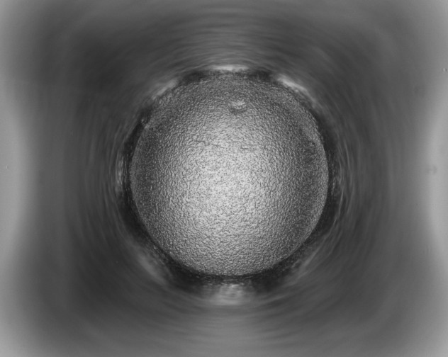 X0000087570647200704271248