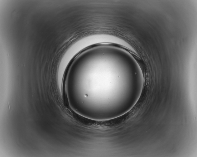 X0000087570648200704271248