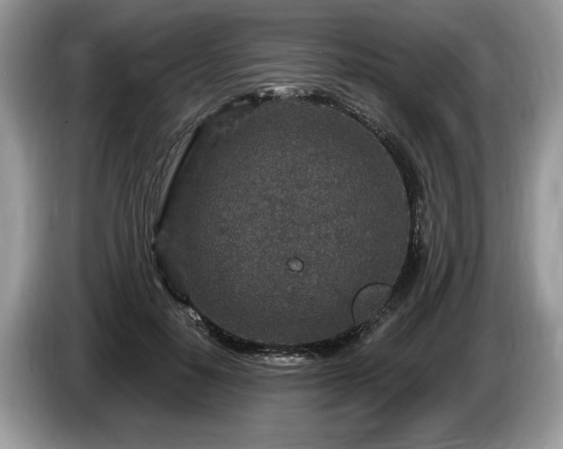 X0000087570650200704271248
