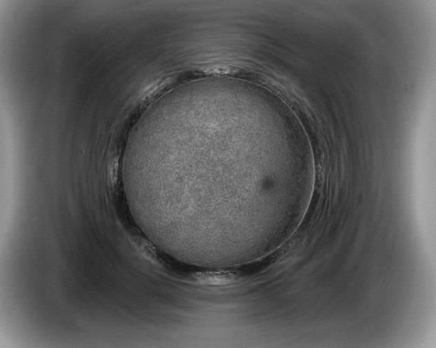 X0000087570652200704271248