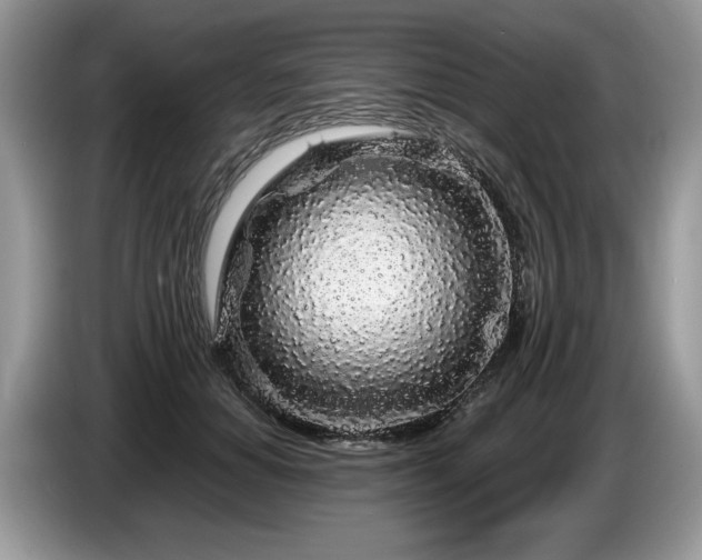 X0000087570654200704271248