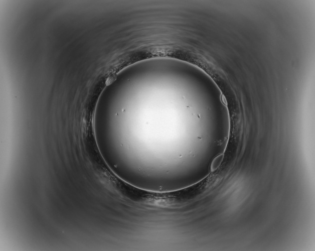 X0000087570655200704271248