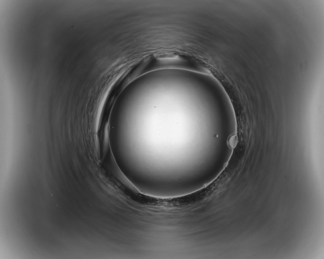 X0000087570656200704271248