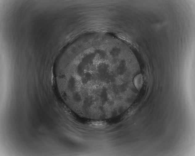 X0000087570659200704271248